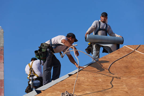 Roof Gutter Cleaning in Shaw Heights, CO